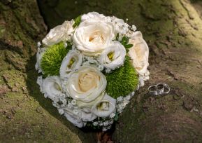 hochzeit_heiraten_schleswig_standesamt_deekelsen_cafe_lindauhof_landarzt_hochzeitsfotograf_standesamt_163.jpg