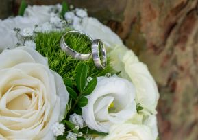 hochzeit_heiraten_schleswig_standesamt_deekelsen_cafe_lindauhof_landarzt_hochzeitsfotograf_standesamt_162.jpg